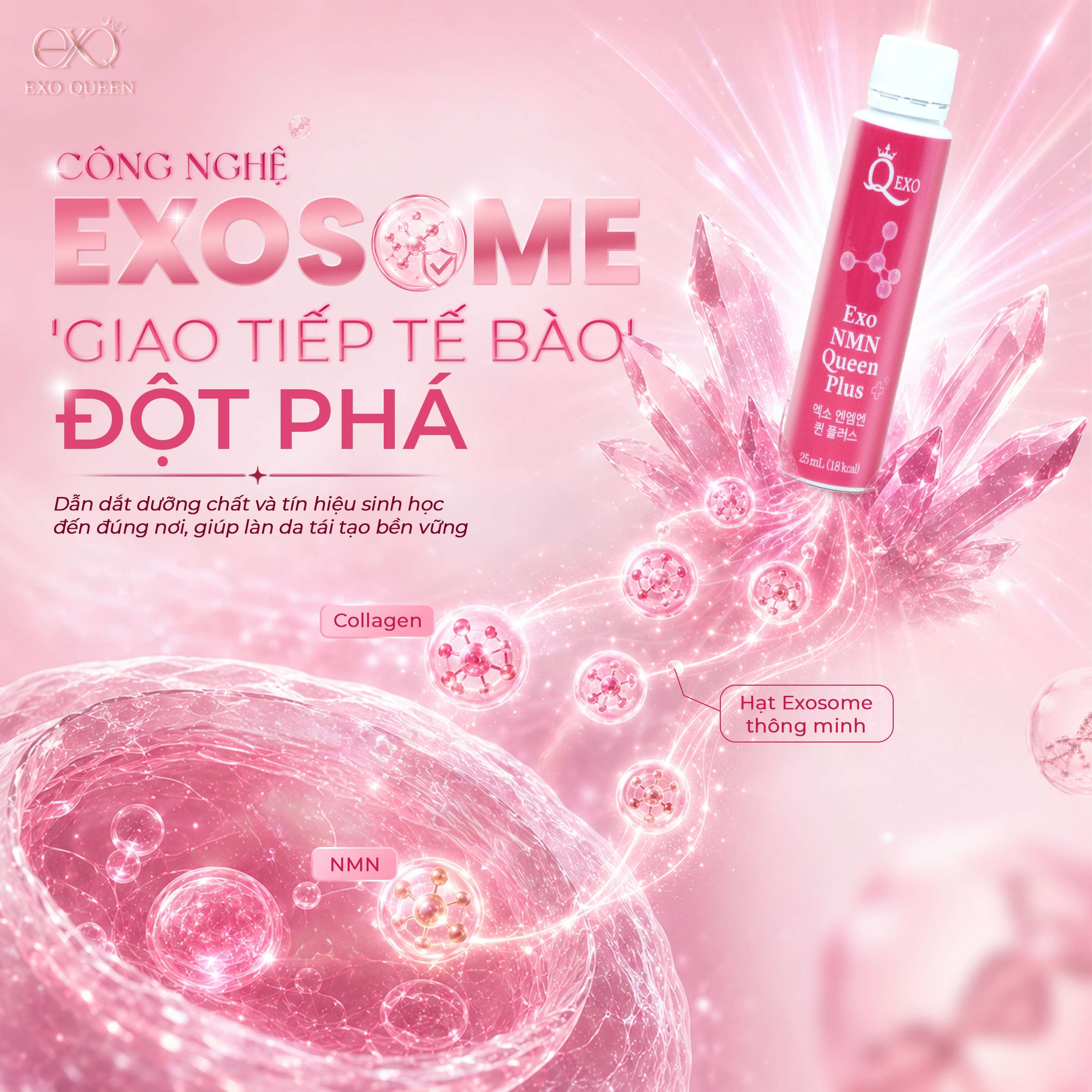 EXO NMN QUEEN PLUS