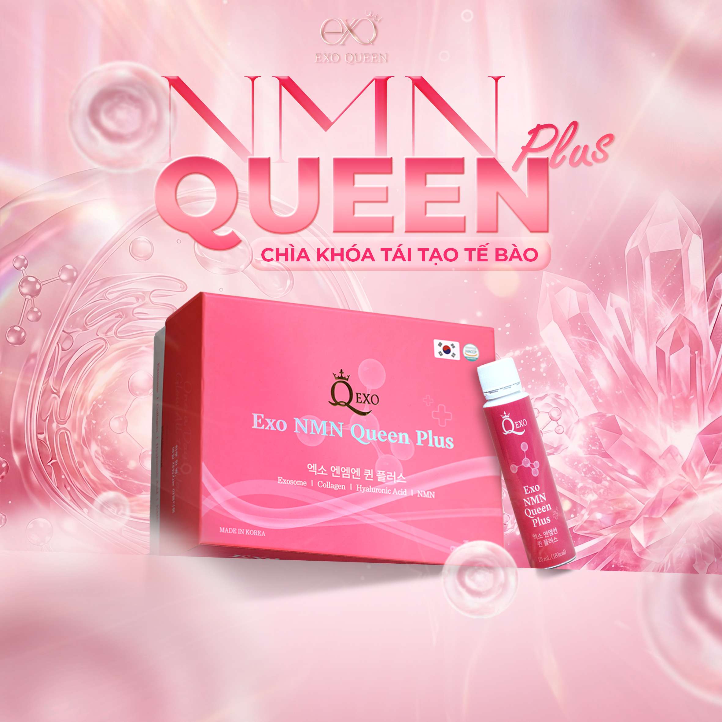 EXO NMN QUEEN PLUS